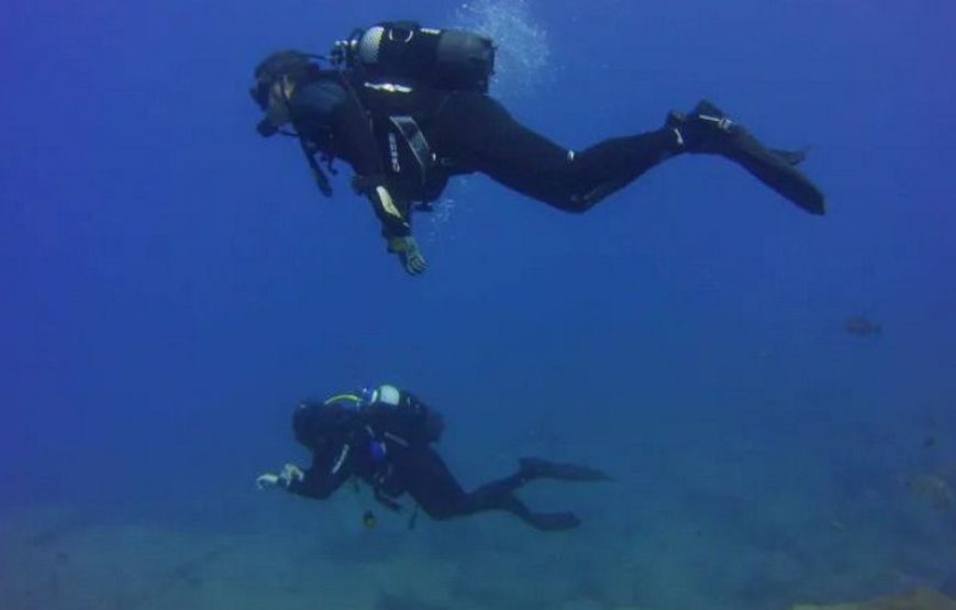 8 hour diving course in Tenerife