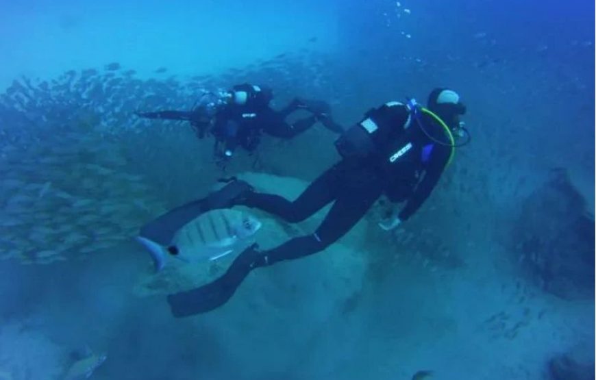 8 hour diving course in Tenerife