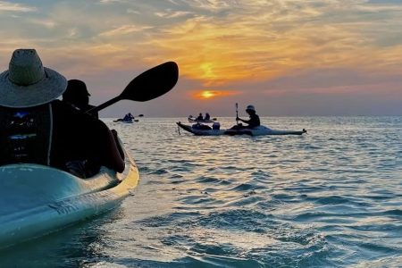 Kayaking with Dolphins in Tenerife