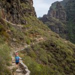 Barranco del Infierno Nature Reserve in Tenerife: A Guide to a Natural Wonder