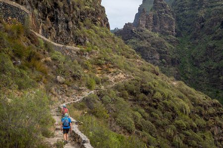 Barranco del Infierno Nature Reserve in Tenerife: A Guide to a Natural Wonder