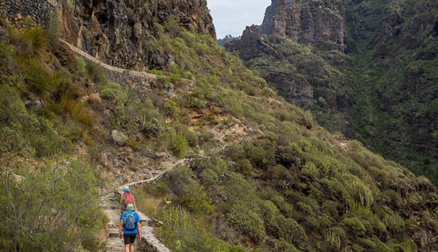 Barranco del Infierno Nature Reserve in Tenerife: A Guide to a Natural Wonder