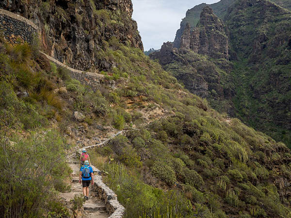 Barranco del Infierno Nature Reserve in Tenerife: A Guide to a Natural Wonder