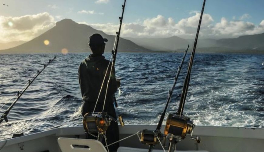 Fishing in Tenerife Best Spots for Catching Fish