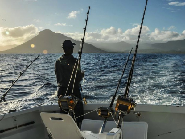 Fishing in Tenerife Best Spots for Catching Fish