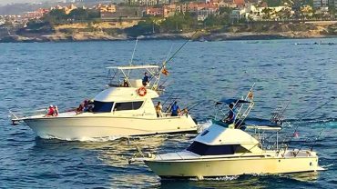 A Guide to Fishing Tours in Tenerife