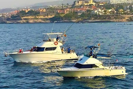 A Guide to Fishing Tours in Tenerife: How to Choose the Best Adventure