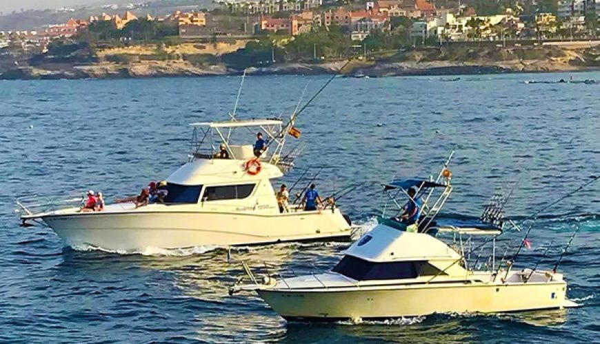 A Guide to Fishing Tours in Tenerife