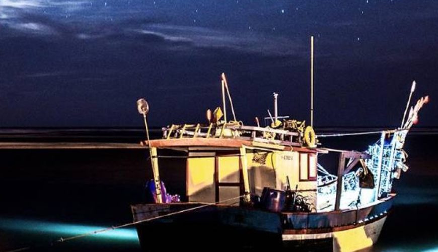 Night Fishing in Tenerife