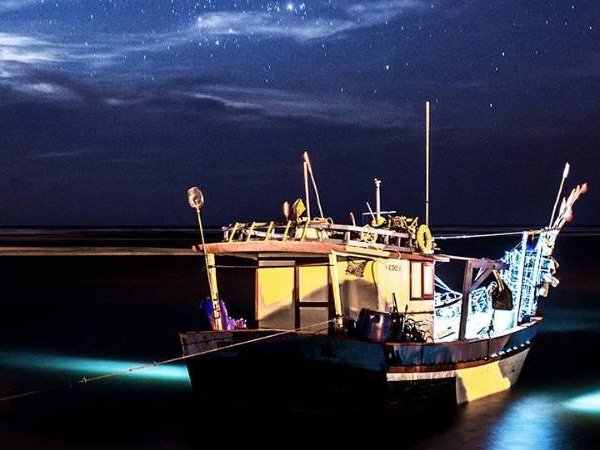 Night Fishing in Tenerife