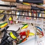 What to Take with You for Fishing in Tenerife