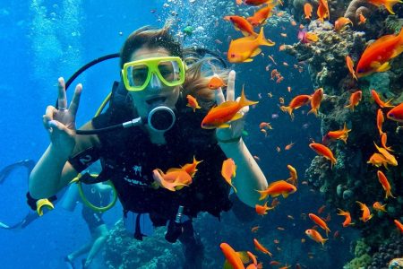 Big Fish Dive Center – Your Gateway to the Magical Underwater World of Tenerife