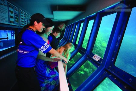 Exciting safari across the Atlantic Ocean in a submarine